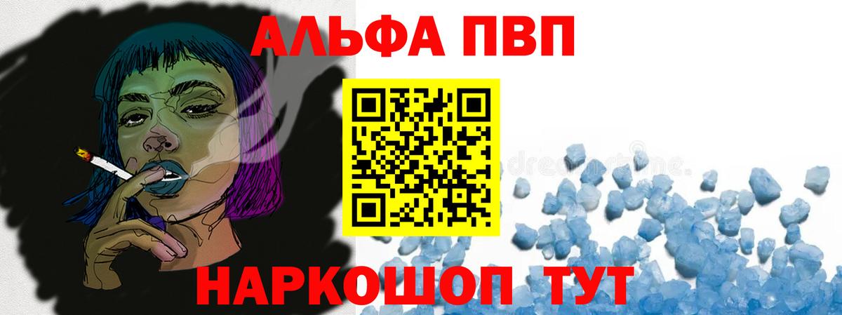Альфа ПВП СК КРИС Элиста