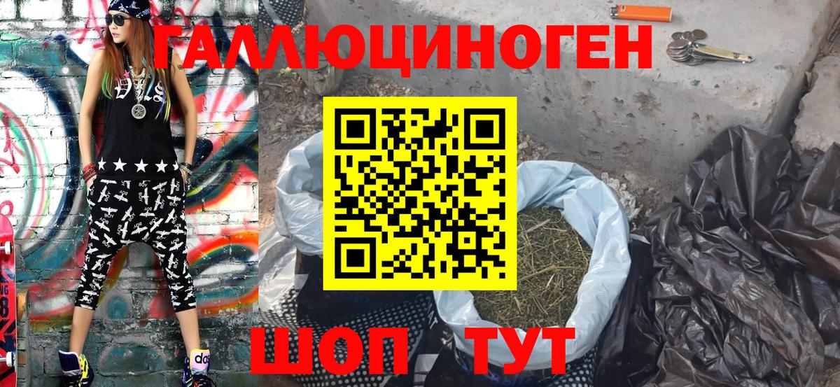 Элиста  Псилоцибиновые грибы мухоморы  Вход с VPN 